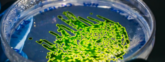 Miracle at the micro level